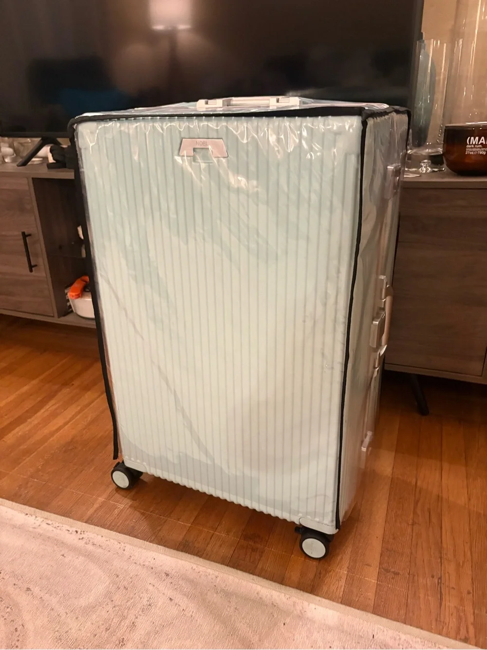 Mint Blue 2-Piece Spinner Luggage Set by Nobl
